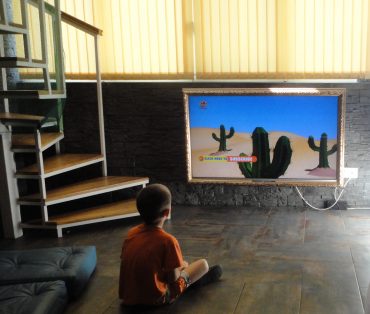 What do you imagine when you think of a desert? A cactus party!